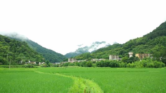 孫村鎮碧雲村風景