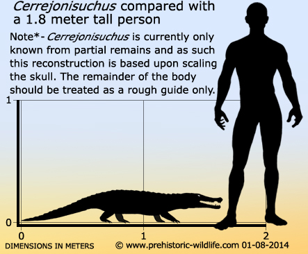 Cerrejonisuchus improcerus