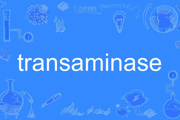 transaminase