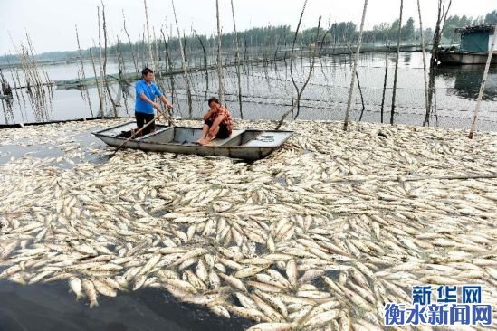 醬油湖