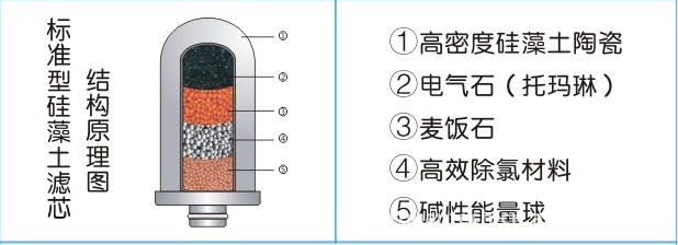 龍頭淨水器