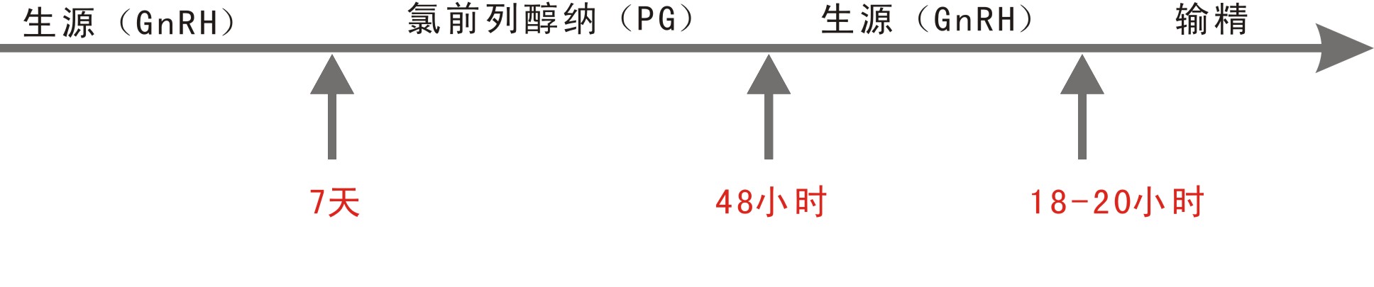 定時輸精程式