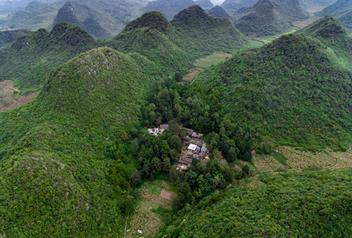 百畝村（岔溝、箐上）