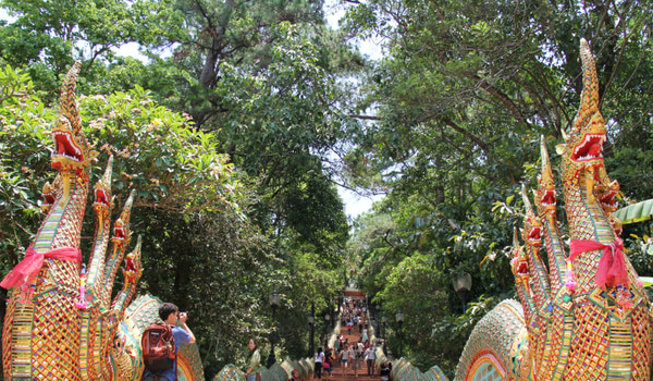 素貼山多頭神龍