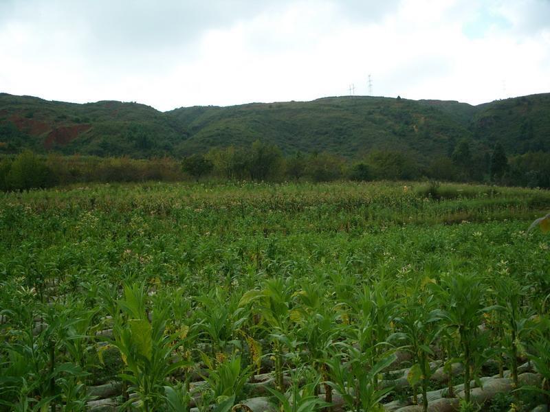 鎖溪渡村