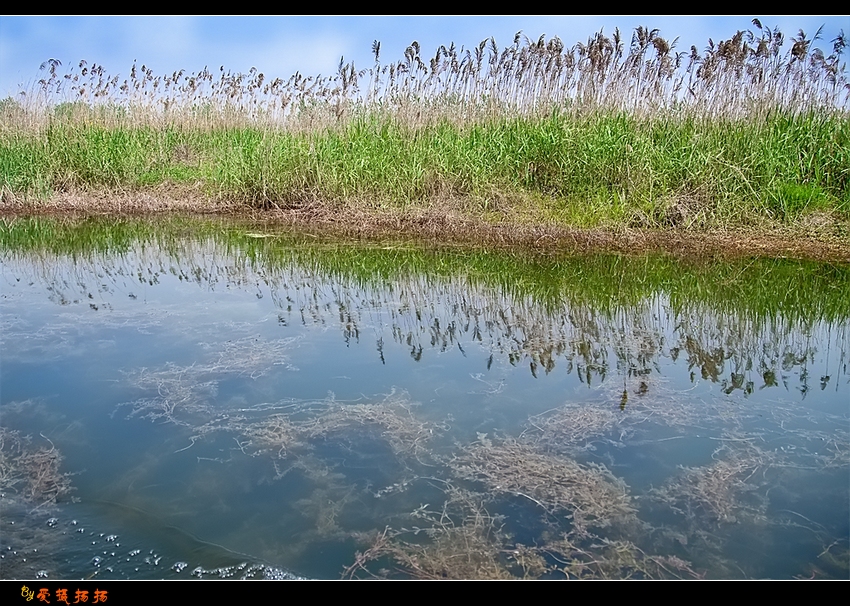 洪澤湖濕地