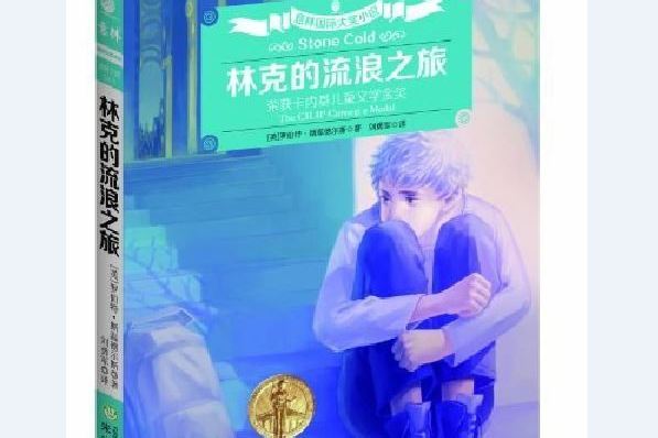 林克的流浪之旅(意林國際大獎小說：林克的流浪之旅)