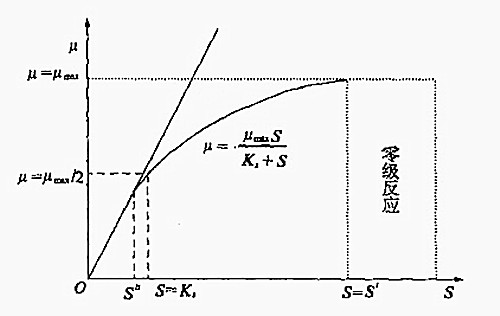 比增長速率（μ）與底物濃度（S）的關係曲線