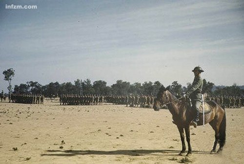 國民革命軍102師