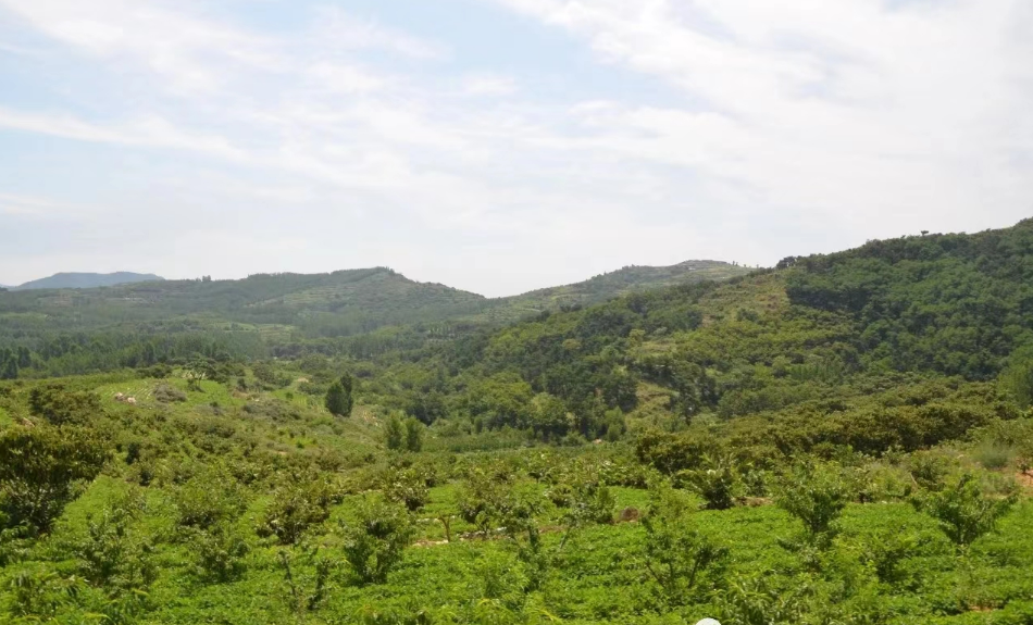 臨沂大青山突圍戰遺址