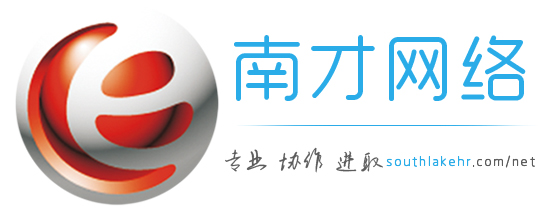 南才網路logo