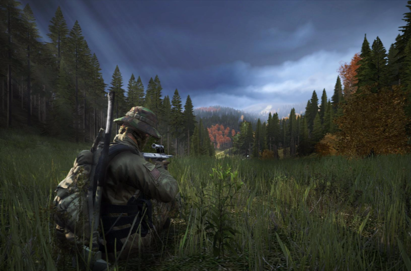 dayz