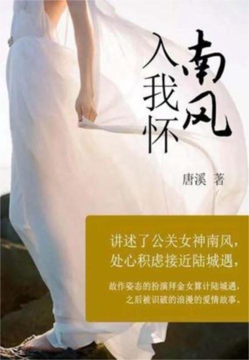 南風入我懷(中國當代小說)