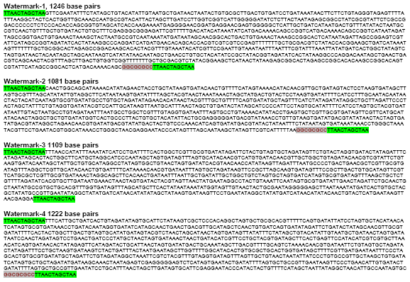 “水印”序列