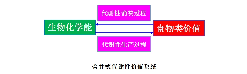 代謝性價值系統