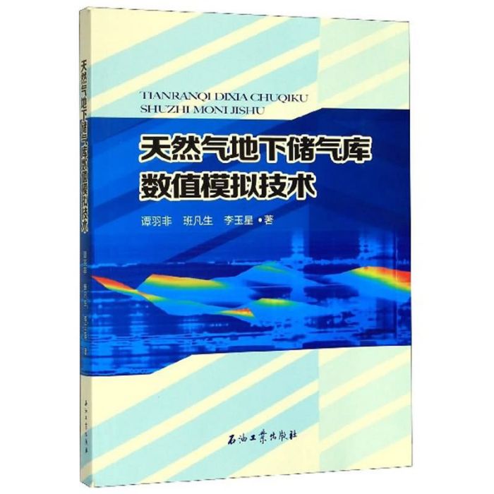 天然氣地下儲氣庫數值模擬技術