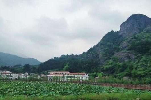 麻嶺下田園綜合體