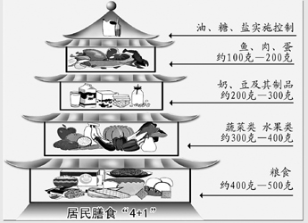 膳食結構(飲食結構)