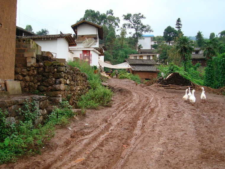 草菁村民委員會松樹林上村未硬化的道路