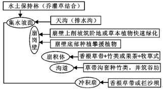 崩崗