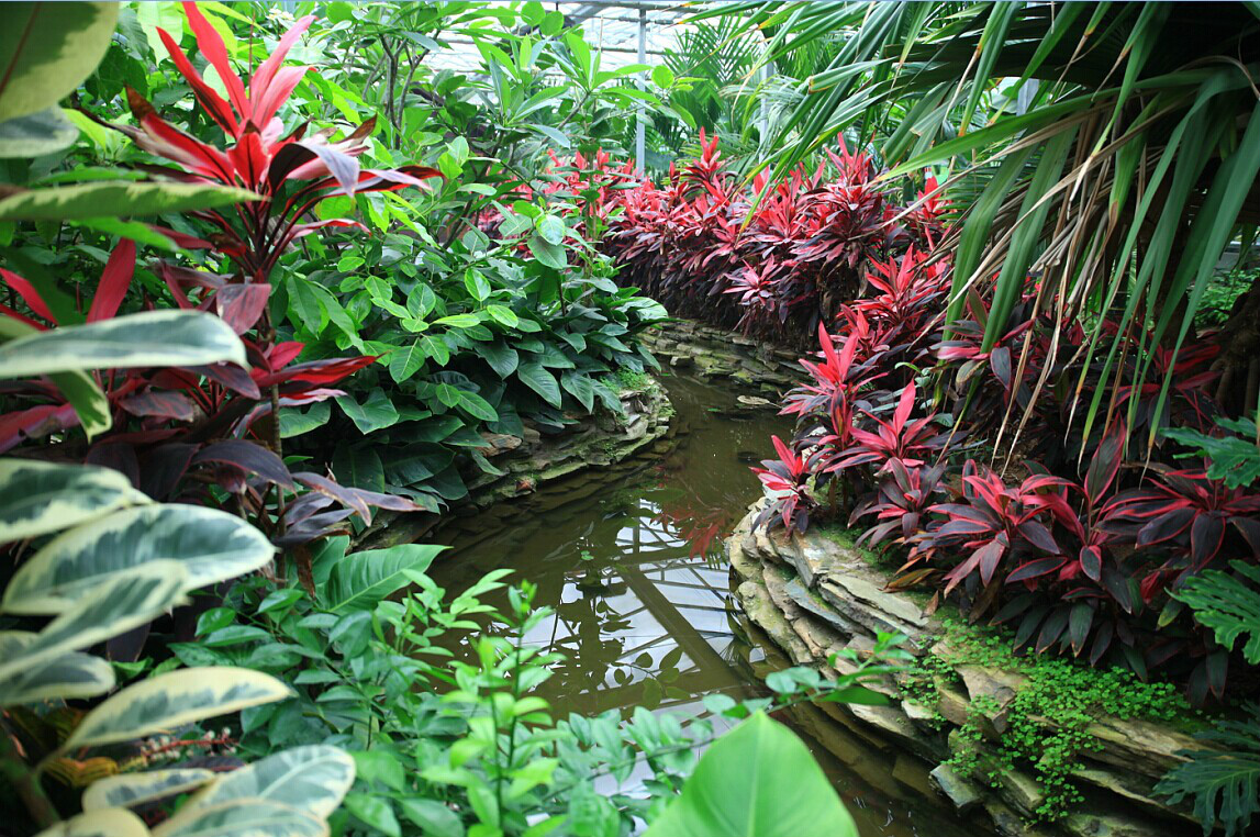 北京呀路古熱帶植物園