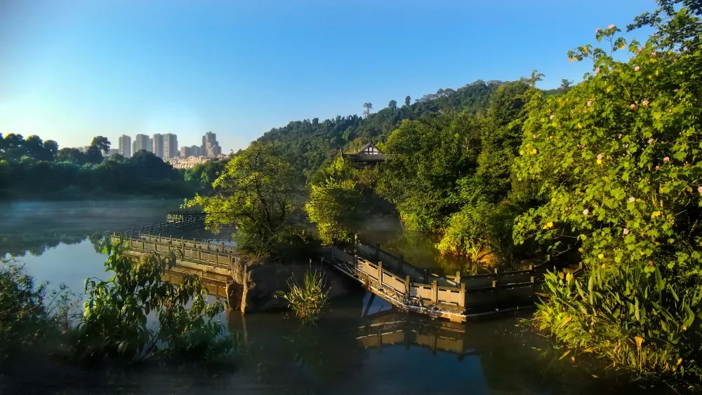 張壩桂圓林公園