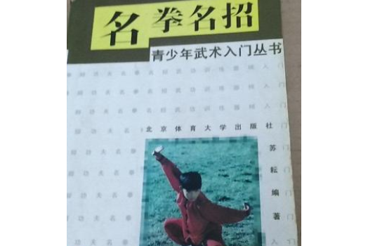 青少年武術入門叢書---名拳名招