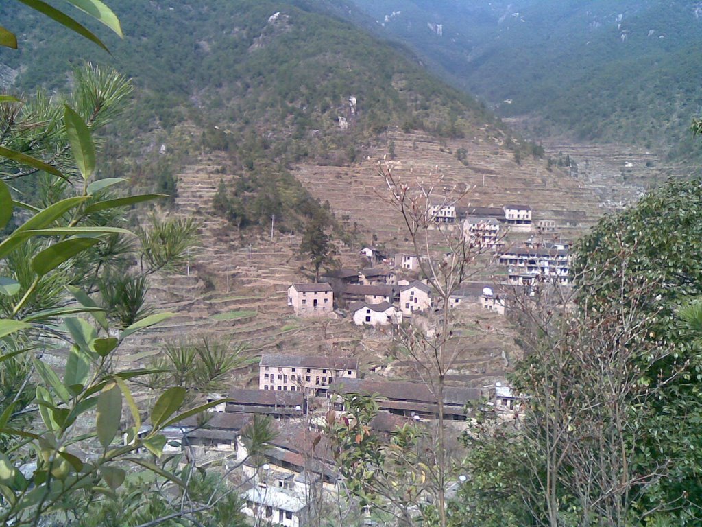 黃金村(湖南省衡陽市衡山縣新橋鎮黃金村)