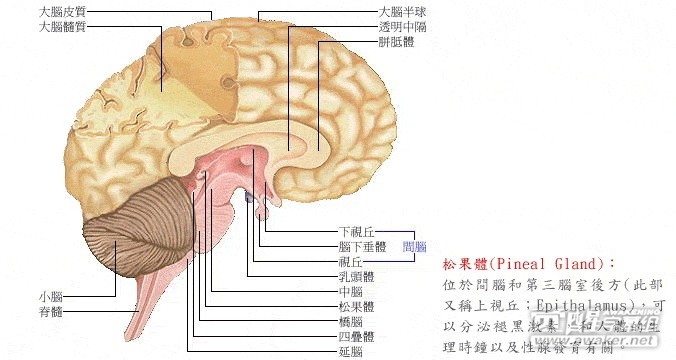 瑞新微科抗衰老技術推廣中心