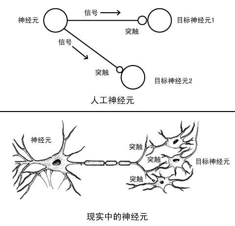 記憶與學習