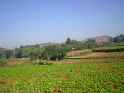 村中田園