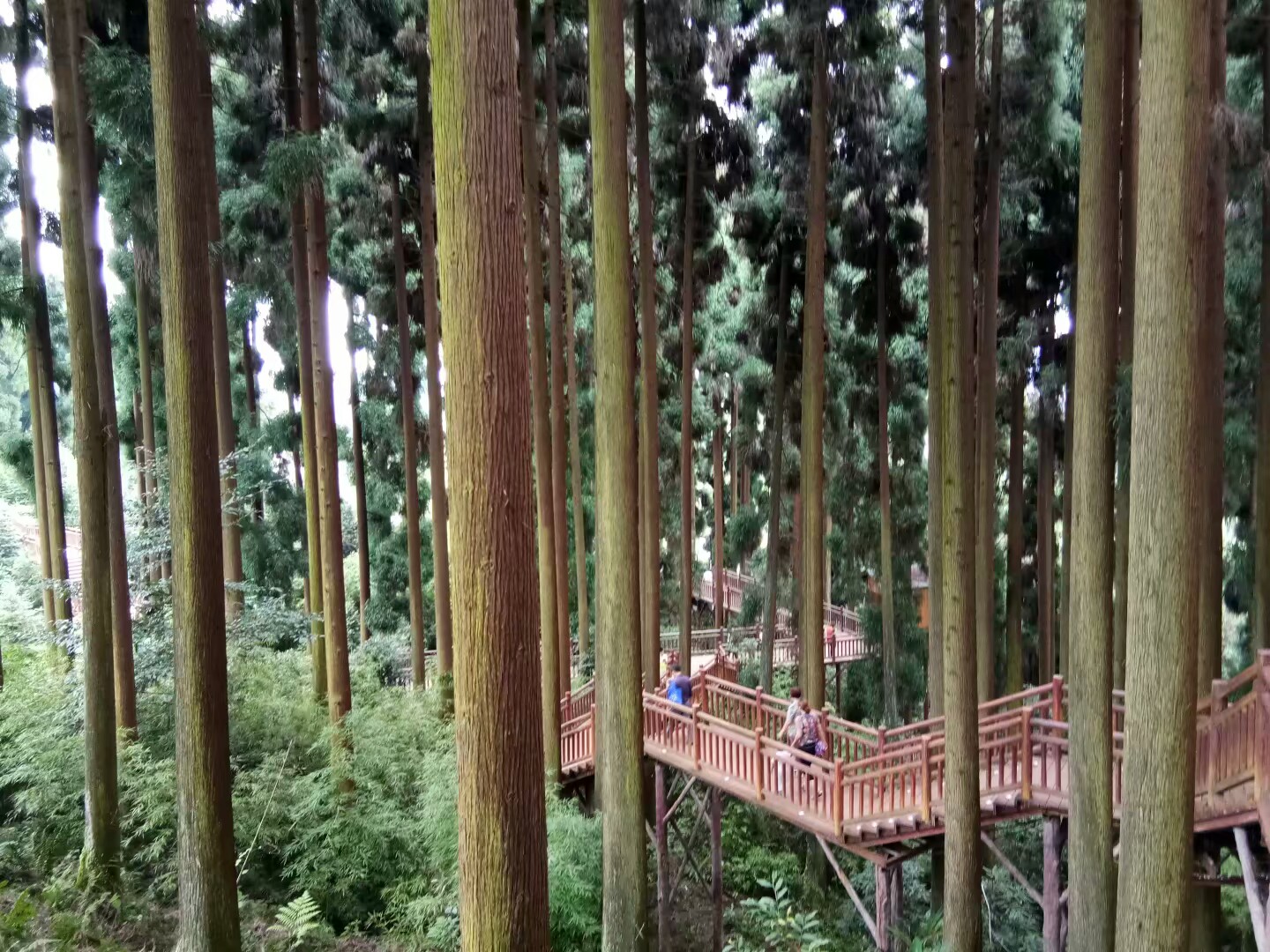 眉山峨眉半山七里坪