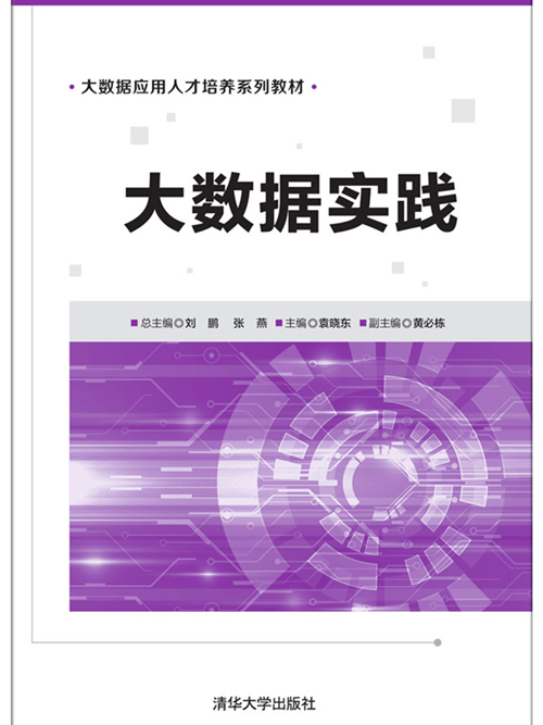 大數據實踐(2018年清華大學出版社出版的圖書)