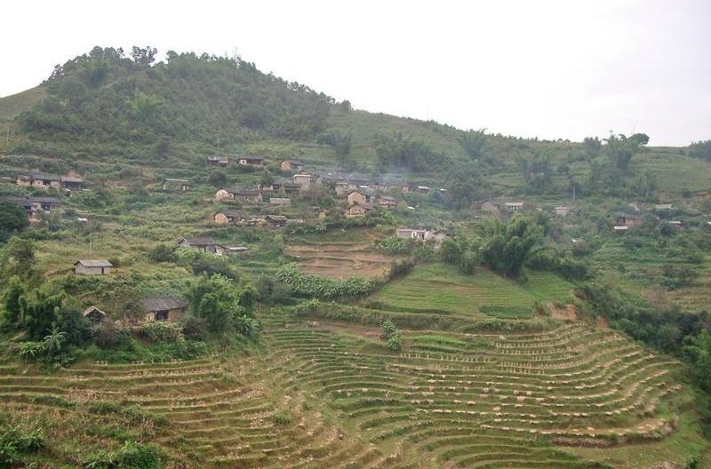 梨樹自然村(雲南臨滄雲縣茶房鄉大埡口村委會梨樹自然村)