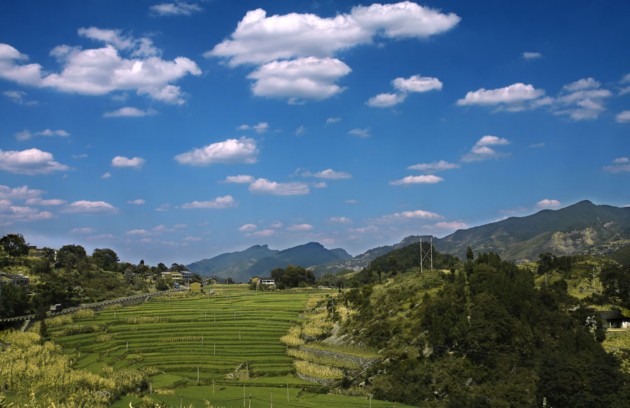 鳳凰自然村(板栗鄉中嶺村委會行政村下轄自然村)