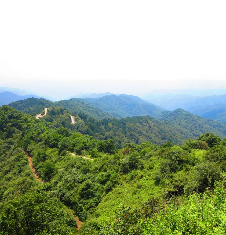 黃龍山(陝西省延安地區山脈)