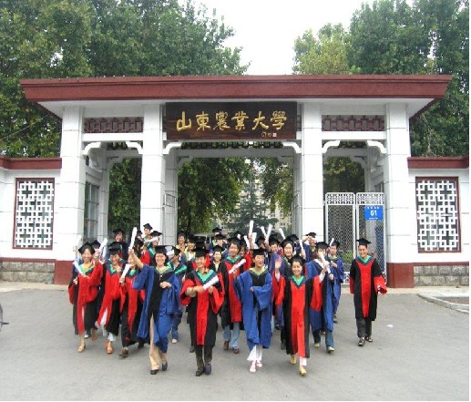 山東農業大學農學院