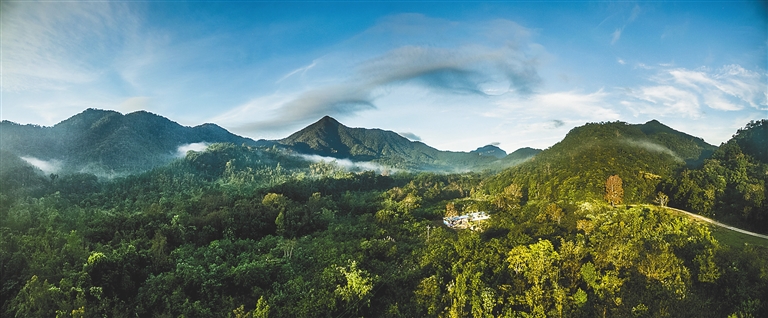 海南黎母山國家森林公園