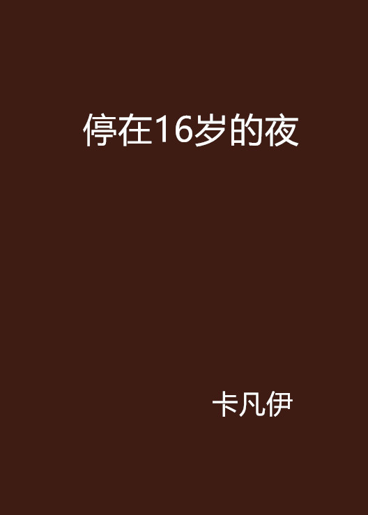 停在16歲的夜