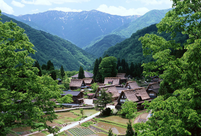 雨山村(山東濟寧鄒城市城前鎮雨山村)