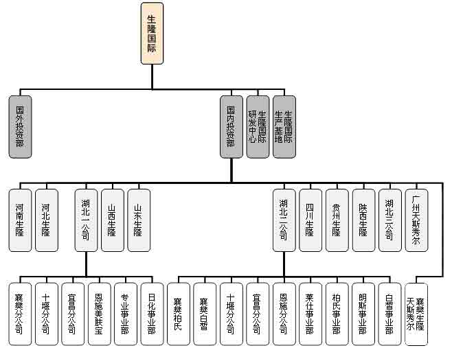 生隆國際集團組成