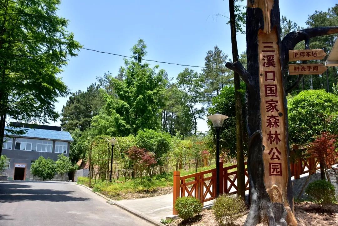 三溪口森林公園