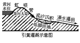 引黃淤灌