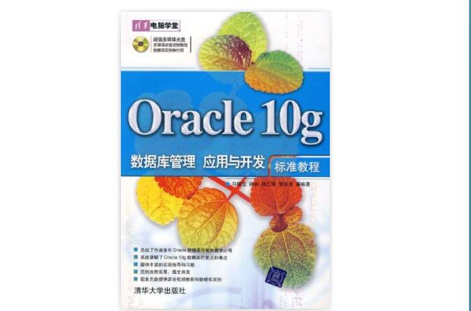 Oracle 10g資料庫管理、套用與開發標準教程