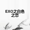 EXO之白色之戀