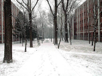 冬天雪景