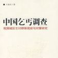 中國乞丐調查——我們城區乞討群體兩半與對策研究