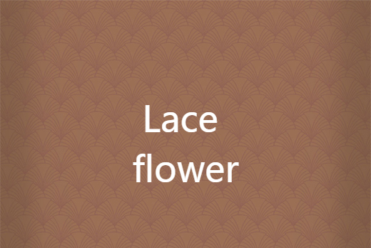 Lace flower