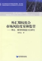 外匯期權組合市場風險度量和監管：理論、模型和數值方法研究