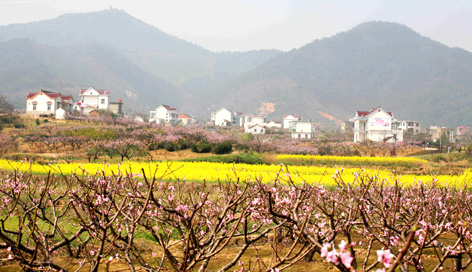 護河園藝桃花節